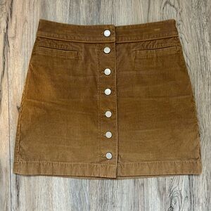 Aritzia skirt